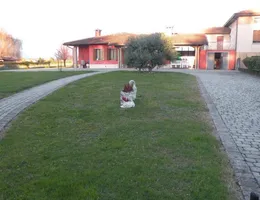 Aste giudiziarie immobiliari online - 1.0