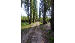Aste giudiziarie immobiliari online - 8.0