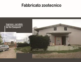 Aste giudiziarie immobiliari online - 6.0
