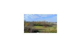 Aste giudiziarie immobiliari online - 10.0