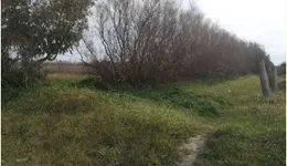 Aste giudiziarie immobiliari online - 6.0