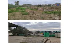 Aste giudiziarie immobiliari online - 6.0