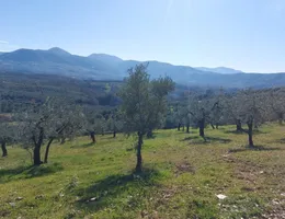 Aste giudiziarie immobiliari online - 9.0