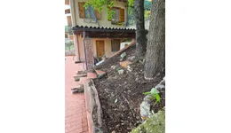 Aste giudiziarie immobiliari online - 2.0