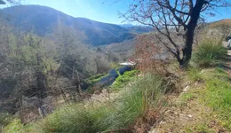 Aste giudiziarie immobiliari online - 10.0