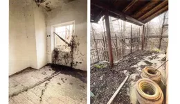 Aste giudiziarie immobiliari online - 11.0