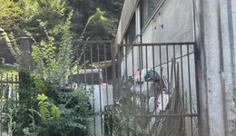 Aste giudiziarie immobiliari online - 1.0