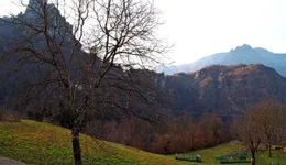 Aste giudiziarie immobiliari online - 1.0
