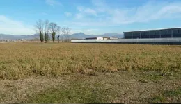 Aste giudiziarie immobiliari online - 6.0
