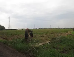 Aste giudiziarie immobiliari online - 2.0