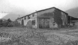 Aste giudiziarie immobiliari online - 11.0