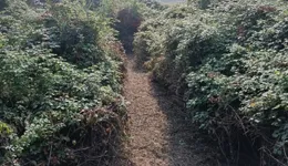 Aste giudiziarie immobiliari online - 10.0