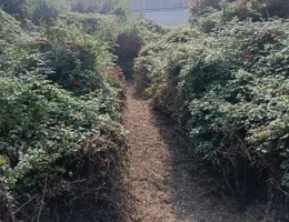 Aste giudiziarie immobiliari online - 4.0