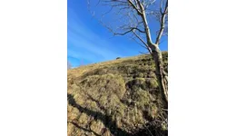 Aste giudiziarie immobiliari online - 3.0