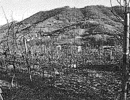 Aste giudiziarie immobiliari online - 3.0