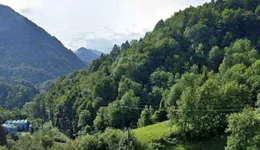 Aste giudiziarie immobiliari online - 1.0