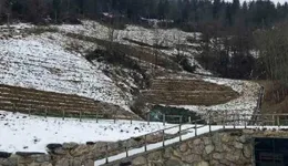 Aste giudiziarie immobiliari online - 1.0