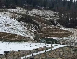 Aste giudiziarie immobiliari online - 1.0