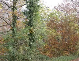 Aste giudiziarie immobiliari online - 10.0