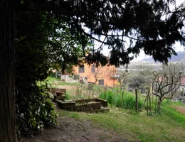 Aste giudiziarie immobiliari online - 9.0
