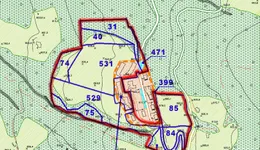 Aste giudiziarie immobiliari online - 12.0