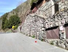 Aste giudiziarie immobiliari online - 11.0