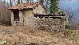 Aste giudiziarie immobiliari online - 10.0