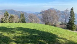Aste giudiziarie immobiliari online - 12.0