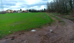 Aste giudiziarie immobiliari online - 1.0