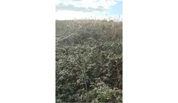 Aste giudiziarie immobiliari online - 3.0