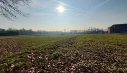 Aste giudiziarie immobiliari online - 8.0