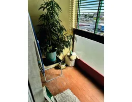 Aste giudiziarie immobiliari online - 6.0