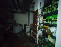 Aste giudiziarie immobiliari online - 1.0