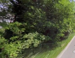 Aste giudiziarie immobiliari online - 6.0