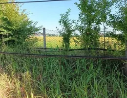 Aste giudiziarie immobiliari online - 6.0