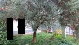 Aste giudiziarie immobiliari online - 9.0