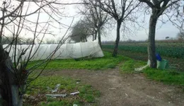 Aste giudiziarie immobiliari online - 3.0