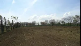 Aste giudiziarie immobiliari online - 4.0