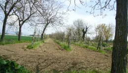 Aste giudiziarie immobiliari online - 5.0