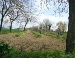 Aste giudiziarie immobiliari online - 9.0