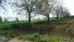 Aste giudiziarie immobiliari online - 6.0