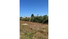 Aste giudiziarie immobiliari online - 4.0