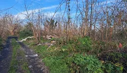 Aste giudiziarie immobiliari online - 2.0