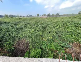 Aste giudiziarie immobiliari online - 3.0