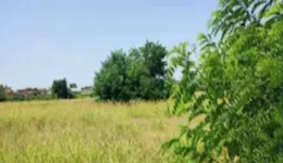 Aste giudiziarie immobiliari online - 8.0