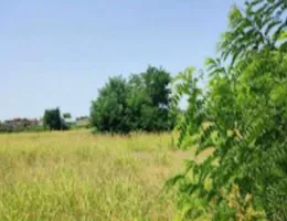 Aste giudiziarie immobiliari online - 8.0