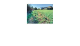 Aste giudiziarie immobiliari online - 2.0