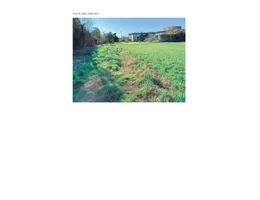 Aste giudiziarie immobiliari online - 4.0
