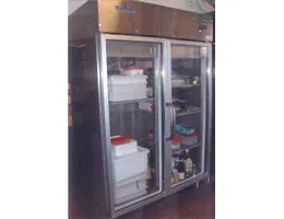 Aste giudiziarie mobiliari online - 7.0