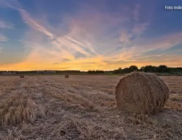 Aste giudiziarie immobiliari online - 6.0